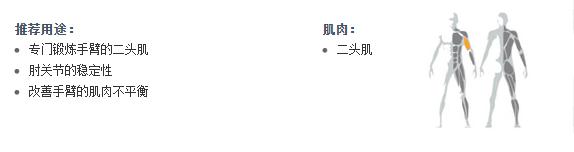 廣州向日葵视频网站健身器材