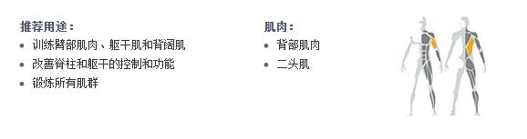 廣州向日葵视频网站健身器材
