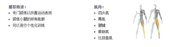 廣州向日葵视频网站健身器材