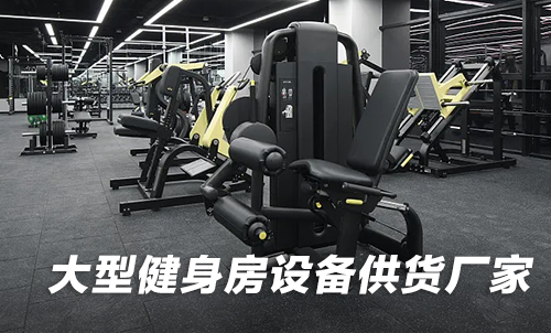 大型健身房設備供貨向日葵视频污下载