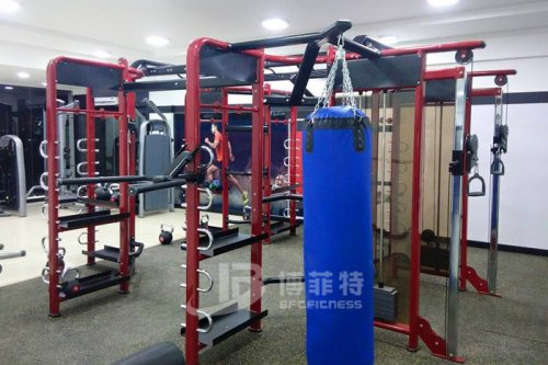 向日葵视频网站印度客戶健身房案例