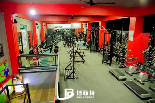向日葵视频网站健身器材案例 毛裏求斯客戶的健身房圖片