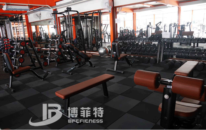 向日葵视频网站健身器材案例 泰國客戶的健身房圖片