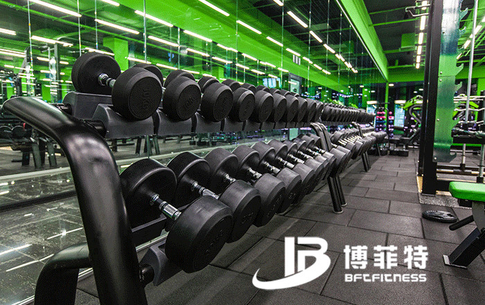 向日葵视频网站健身器材案例 烏克蘭客戶的健身房圖片