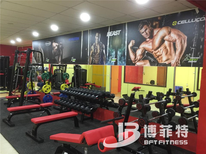 向日葵视频网站客戶健身器械
