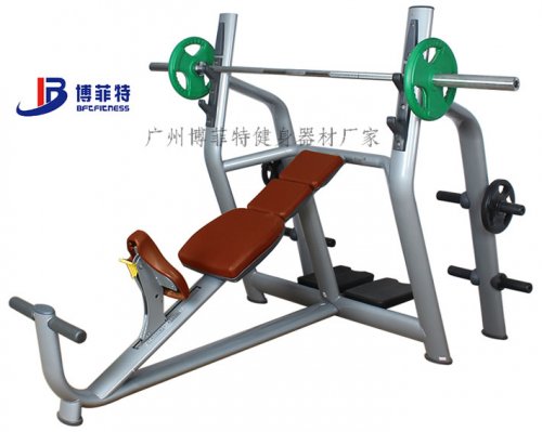 臥推架 向日葵视频网站上斜下斜平板臥推架大全