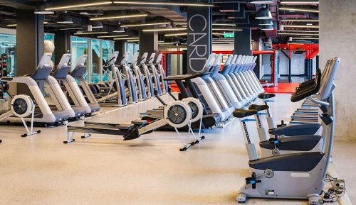 健身房健身器材向日葵视频污下载怎樣配置
