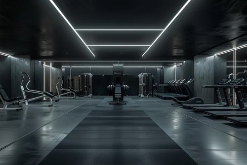 健身器材出口型向日葵视频污下载：引領全球健康風尚的製造力量
